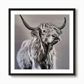 Highland coo Art Print