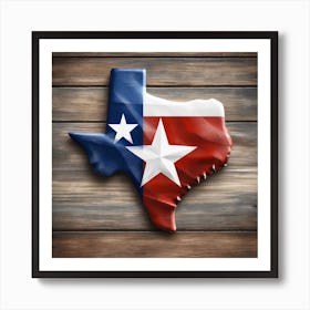 Texas from the United States of America Art Print
