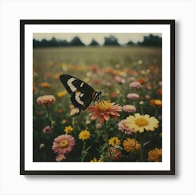 Butterfly In A Field 1 Art Print