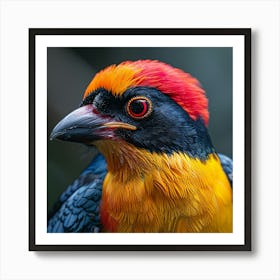 Colorful Bird 20 Art Print