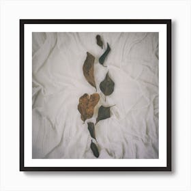 Earthy Vintage Leaves Square Art Print