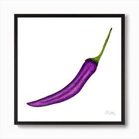 Purple Chili Art Print