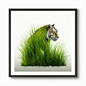 Tiger In Grass 2 Poster