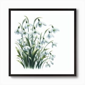 Flowers of Snowdrops 1 Art Print