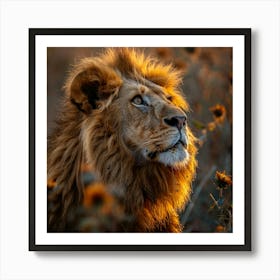 Lion In The Sun Art Print