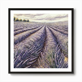 Lavender Field 2 Affiche