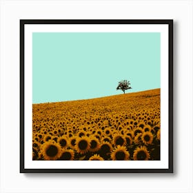 Sunflowers Poster