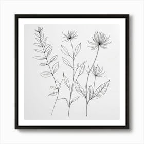 Line Drawing Of Flowers 2 Art Print