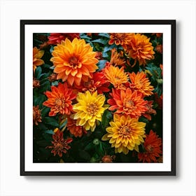 Firefly Bold And Bright Floral Display Vibrant Flowers With High Contrast For A Striking Appearance (10) Affiche