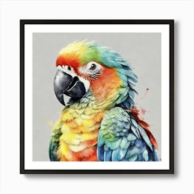 Parrot Watercolor Art Print