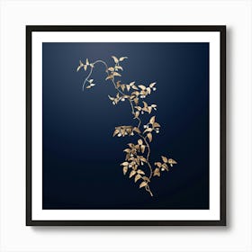 Gold Botanical Bridal Creeper on Midnight Navy n.0332 Art Print