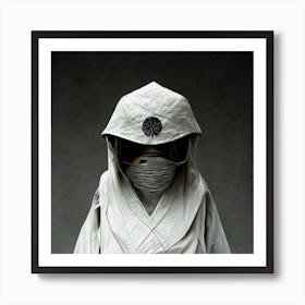 Ninja 1 Art Print