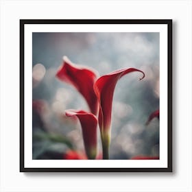 Red Calla Lily Art Print