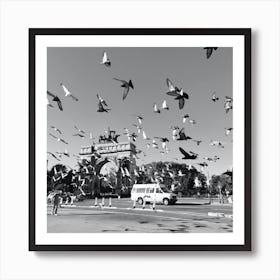 Pigeons Art Print