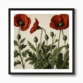 Three Red Poppies Art Print