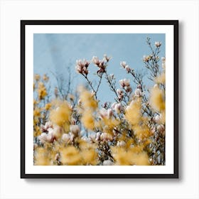 Pink And Yellow Spring Flowers  Colour Nature And Floral Photography Square Art Print