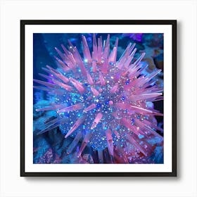 Sea Urchin Pink and Blue Art Print