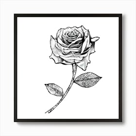 Rose Tattoo 1 Art Print