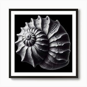 Nautilus Shell 2 Art Print