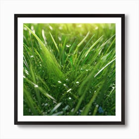 Green Grass With Water Droplets 4 Art Print