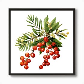 Red Berries Art Print