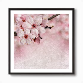 Cherry Blossoms On A Branch Art Print