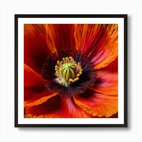 Ethereal poppy flower 8 Art Print