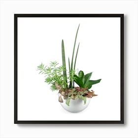 Plant Arrangement Art Print