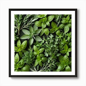 Fresh Herbs On A Black Background 1 Art Print