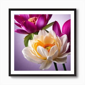 Lotus Flower Art Print