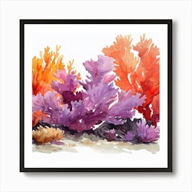 Editorial Art White Background Acropora 2 Art Print