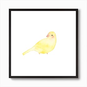 Blushing Bird Yellow Square Art Print