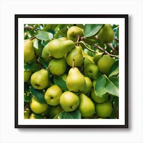 Pears On A Tree Art Print