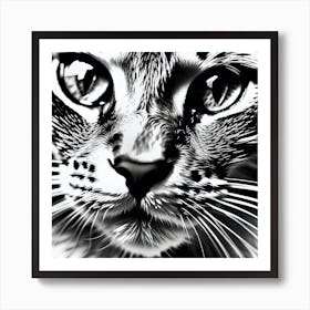 Black And White Cat 15 Art Print