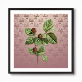 Vintage Carolina Allspice Flower Botanical on Dusty Pink Pattern Art Print