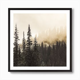 Forest Fire Smoke Square Art Print