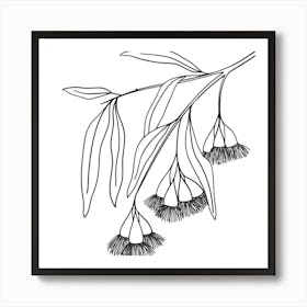 Eucalyptus 2 Art Print