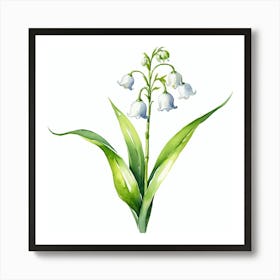 Lily Of The Valley Art Print