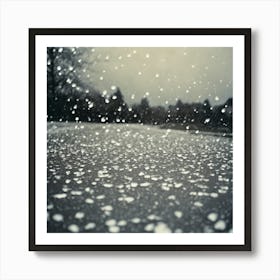 Snowflakes Art Print