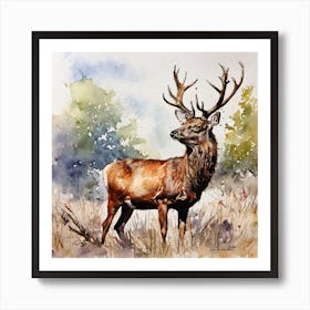 Watercolor Red Deer Art Print