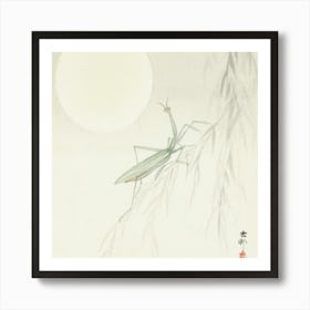 Praying Mantis (1900 1936), Ohara Koson Art Print