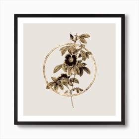 Gold Ring Single May Rose Glitter Botanical Illustration n.0217 Art Print