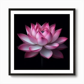 Lotus Flower 8 Art Print