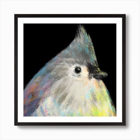 Tufted Titmouse Bird Art Print