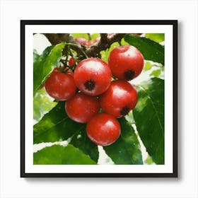 Red Berries On A Tree Art Print