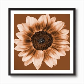Rustic Sunflower Square Art Print
