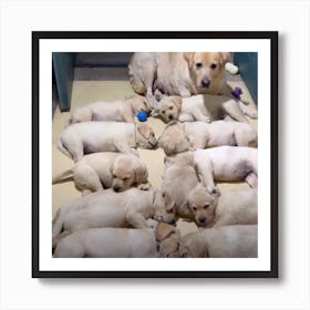 Mother And Her Puppies Art Print