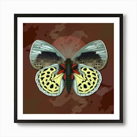 Mechanical Butterfly The Asterope Leprieuri Philotina On A Brown Background Art Print