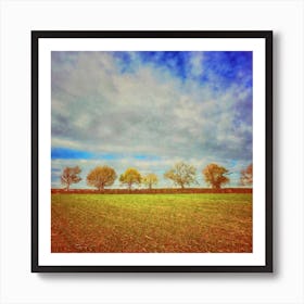 Line Of Autumnal Trees Square Art Print