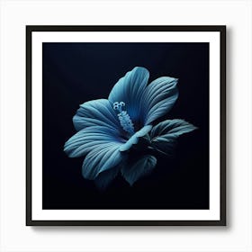 Hibiscus Flower Art Print